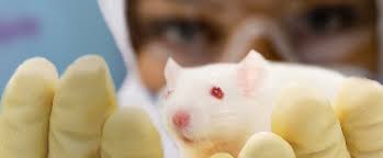 Laboratory Animal Medicine