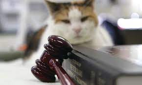 Veterinary Jurisprudence, Ethics, Economics and Business Methods