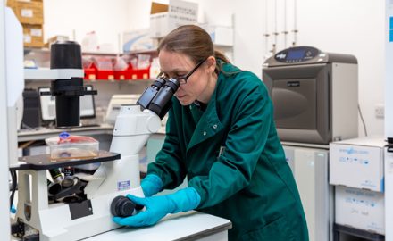 Veterinary Clinical Pathology
