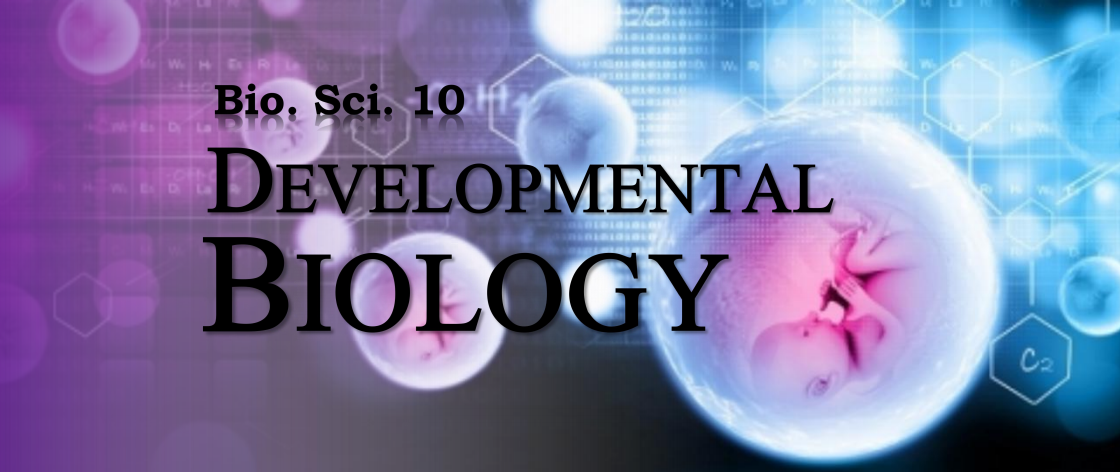 Bio. Sci. 10 : Developmental Biology