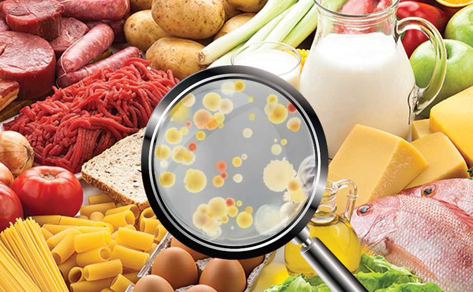 FTECH 2 - Food Micro. 