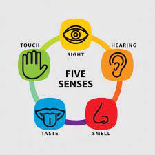 FTECH 6 - Sensory Evaluation - BSFT 3